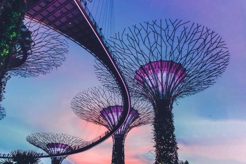 supertrees at sunset