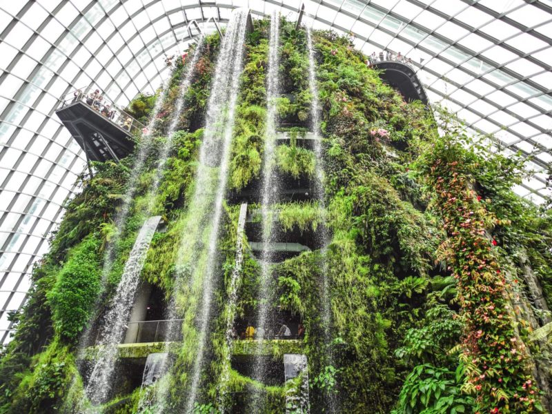 indoor waterfall in cloud forest at gardens by the bay in Singapore