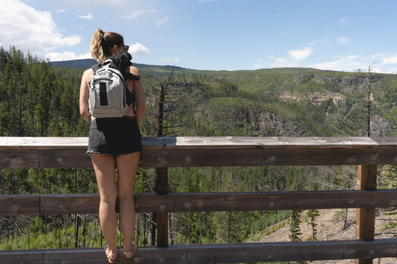 looking at the view with Brooklyn on my back over the myra canyon trestles in Kelowna BC. It's one of the most fun things to do in kelowna British Columbia 