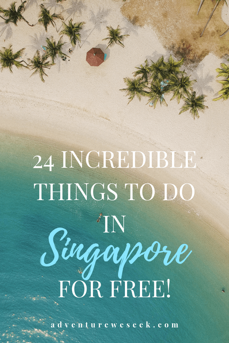 24 awesome things to do in Singapore on a budget! Travel tips and places to go for free Singapore attractions. Lots of free things to do in Singapore and where to go for food on a budget. Gardens by the Bay, Sentosa, night shows, Little India and more!