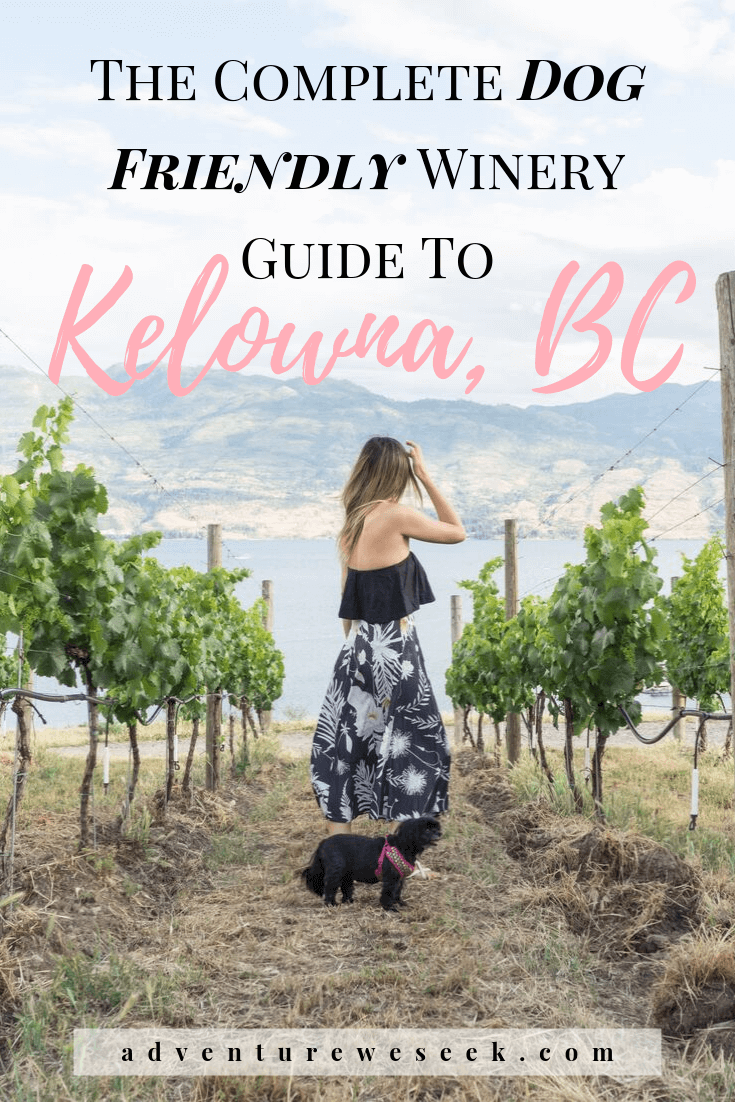The complete guide to dog friendly wineries in Kelowna, British Columbia. Some of the best Kelowna wineries and vineyards there are, including wineries in West Kelowna too! Don’t leave your dog behind, bring her along to one of these awesome dog friendly wineries in Kelowna! After all, wine tasting is one of the best things to do in Kelowna, BC.