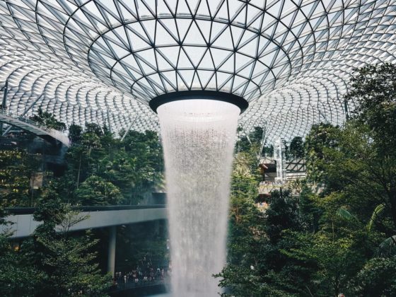24 awesome things to do in Singapore on a budget! Travel tips and places to go for free Singapore attractions. Lots of free things to do in Singapore and where to go for food on a budget. Gardens by the Bay, Sentosa, night shows, Little India and more! Southeast Asia travel