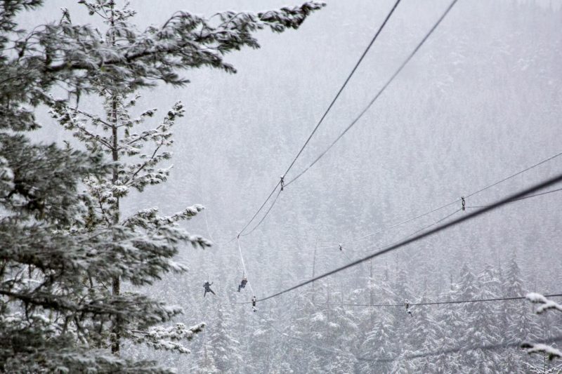 zip lining in whistler in the winter