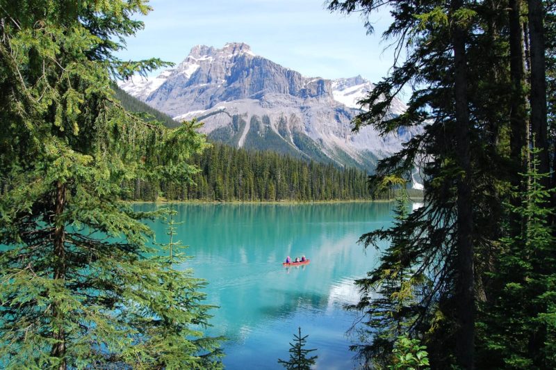 you can take virtual travel tours all around the world. Here is a photo of emerald lake in Banff national park in Alberta.